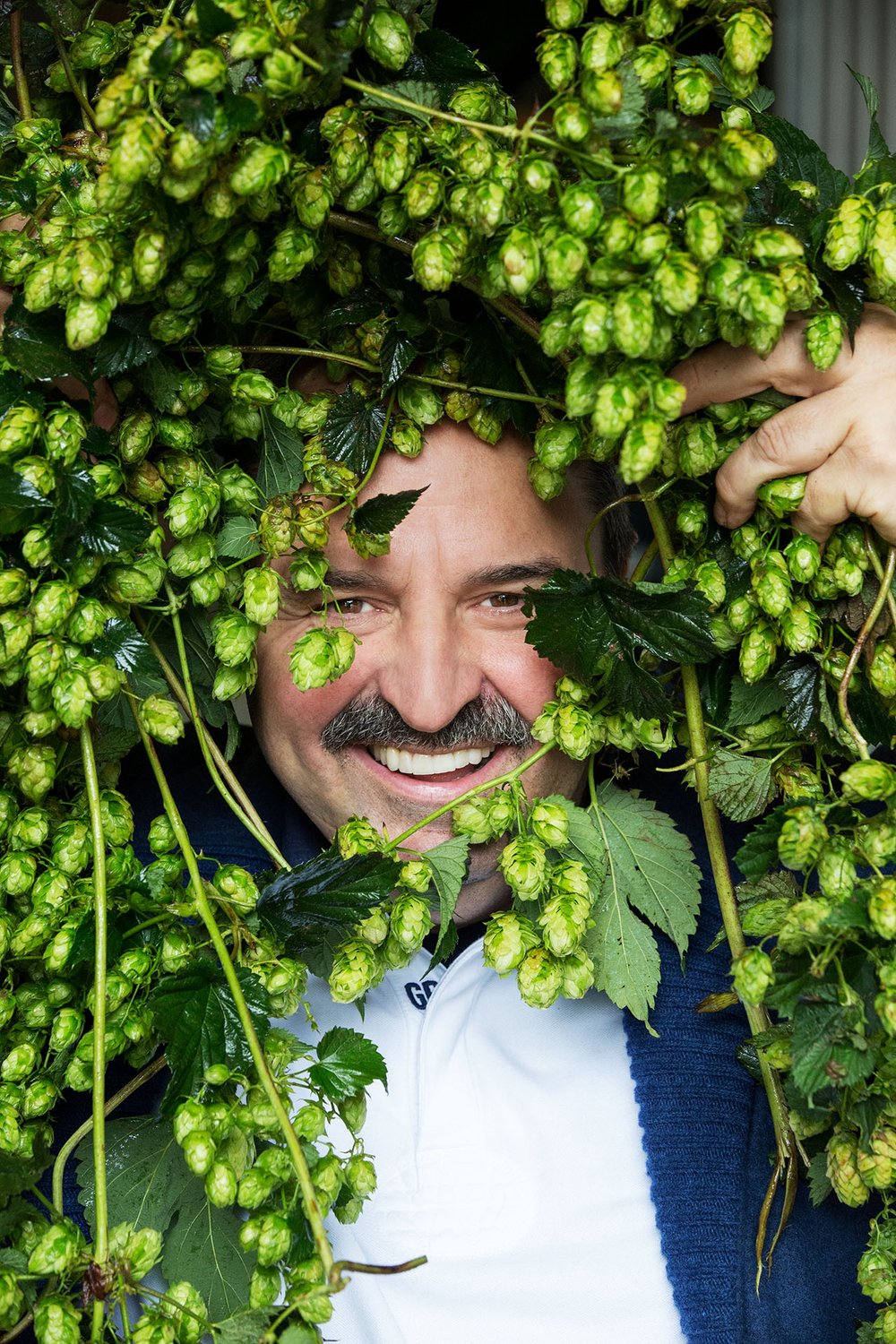 Lafer Hopfen